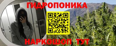 прущие грибы Жуковский