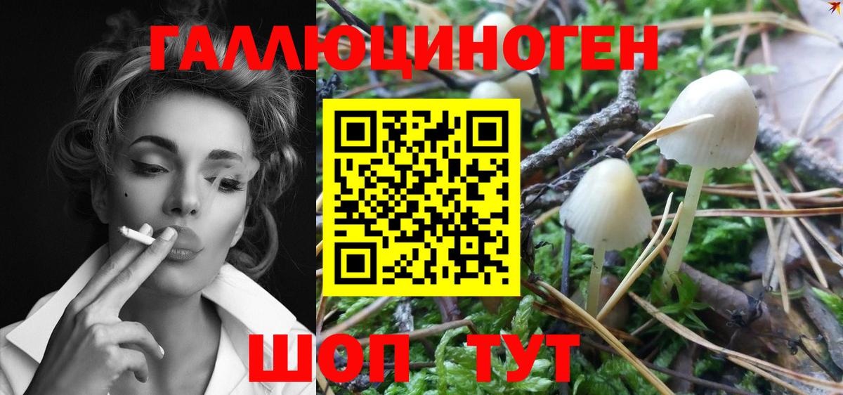 Галлюциногенные грибы GOLDEN TEACHER  Псилоцибиновые грибы Cubensis  Магнитогорск  Вход с VPN 